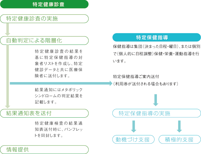 特定健診から特定保健指導への流れ