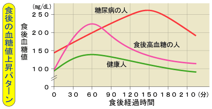 食後の血糖値上昇パターン