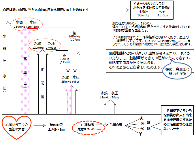 高血圧だとどうして良くないのか？